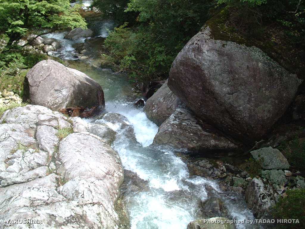 壁紙のページ3 屋久島